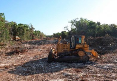 Entrega Fonatur estudio de impacto ambiental del Tramo 5 sur del Tren Maya