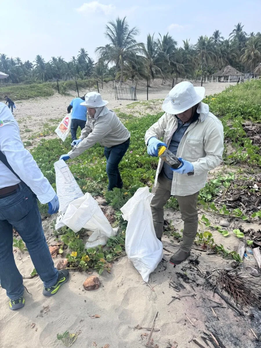 Recolectan dos toneladas de residuos de playas de Tabasco