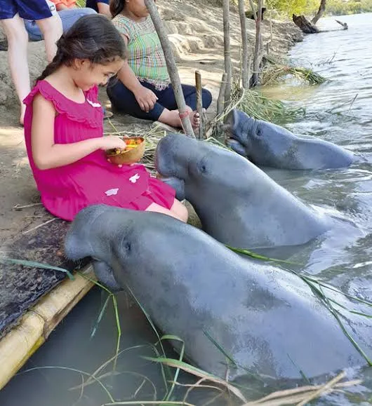 Descubren fosa clandestina en Gaviotas Norte, Villahermosa
