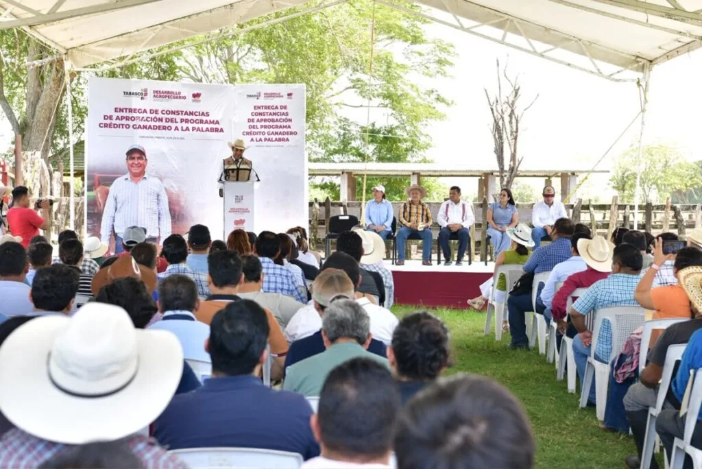 ¡Los agarran con las manos en la masa!