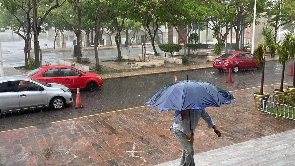 Reportan 12 casos de gusano barrenador en humanos; mayoría son adultos mayores