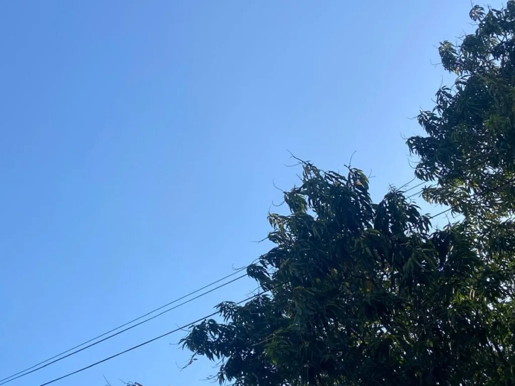 Protección Civil alerta por calor extremo y riesgo de incendios en Tabasco