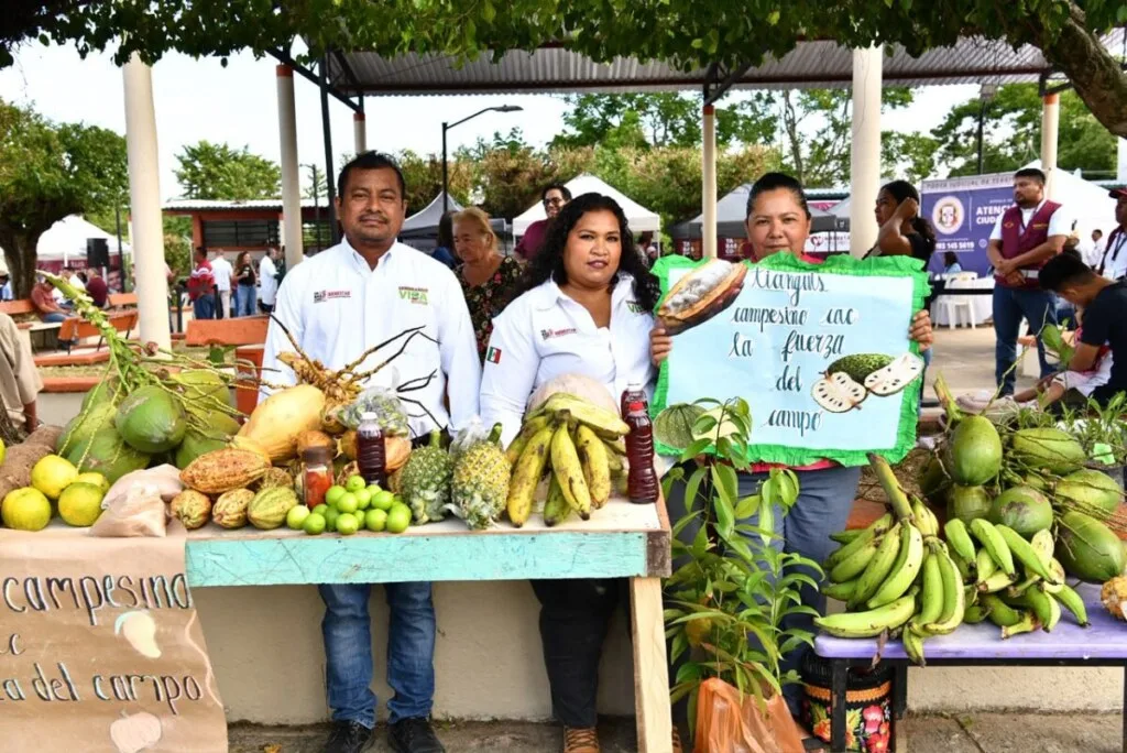 Sembrando Vida Tabasco transforma la vida de campesinas: de cultivar para su hogar a generar ingresos con sus cosechas