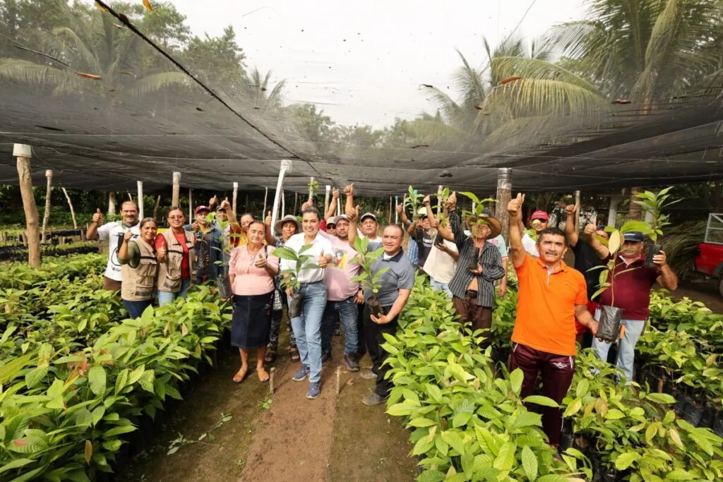 Tabasco apuesta por producir 3 millones de plantas con mejor genética para fortalecer la reforestación