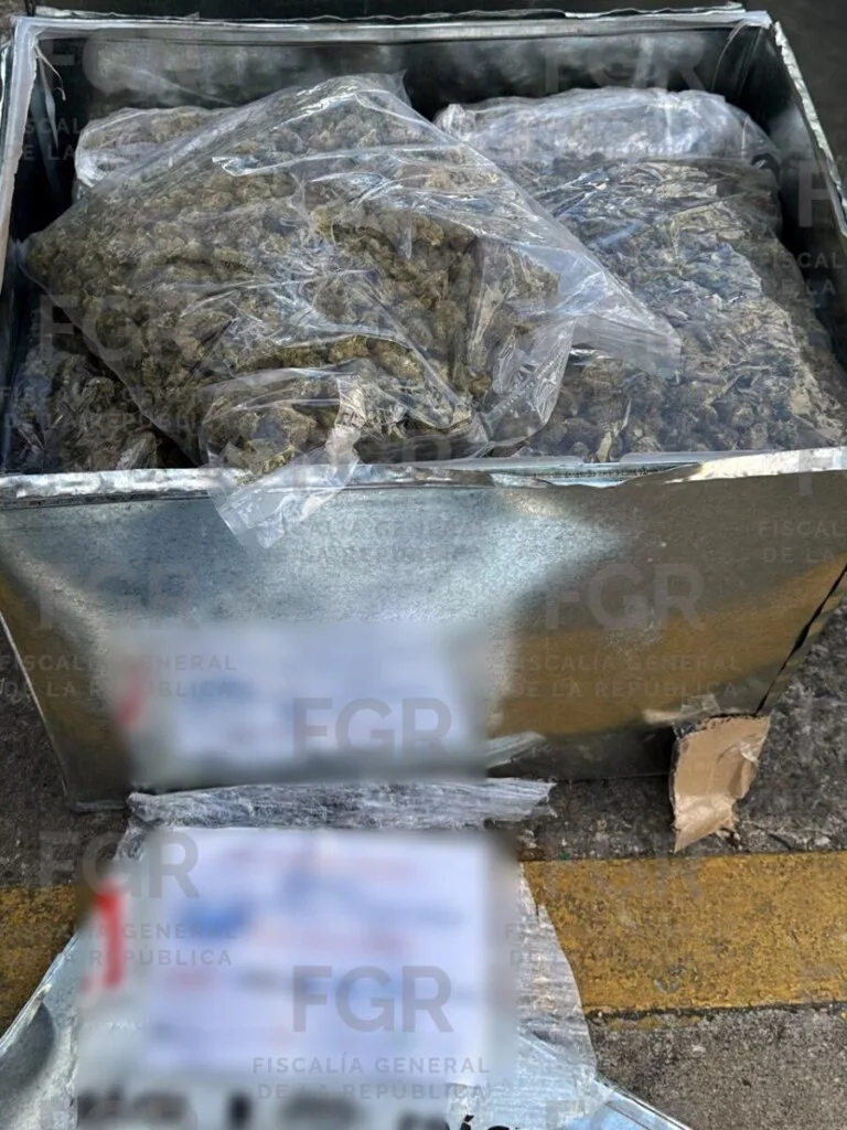 Vinculan a proceso a hombre por transportar más de 600 paquetes de marihuana en Tabasco